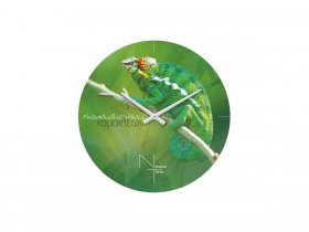 Часы настенные Nicole Time NT503 в Двуречье - dvureche.mebel-nsk.ru | фото